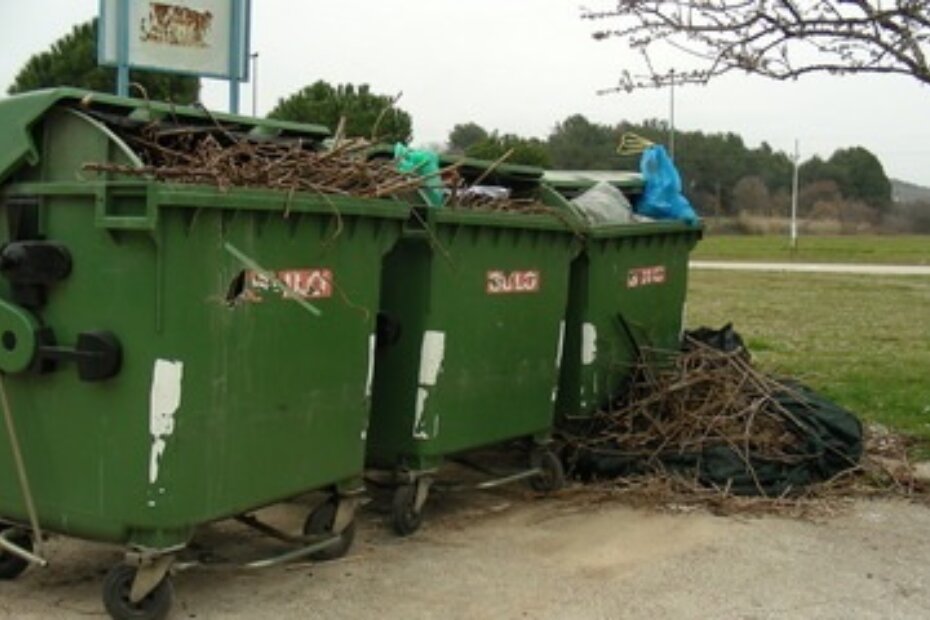 Zeleni otpad u i oko kontejnera