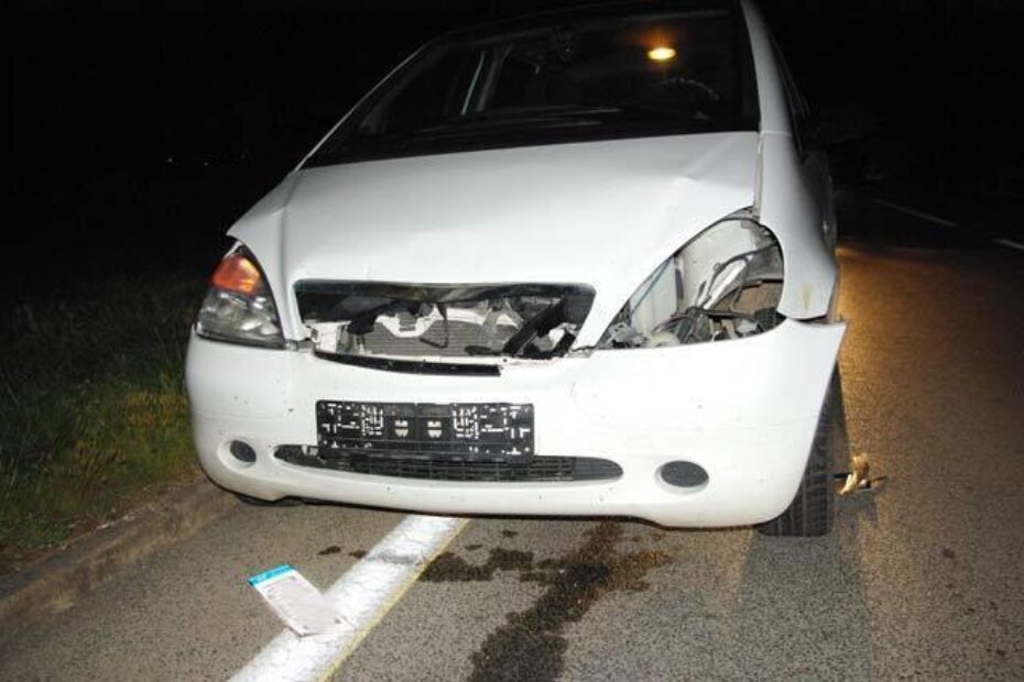 Mercedes je u sudaru sa srnom pretrpio znatna oštećenja