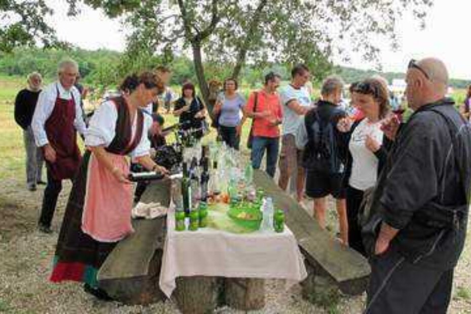 Piknik u vinogradima