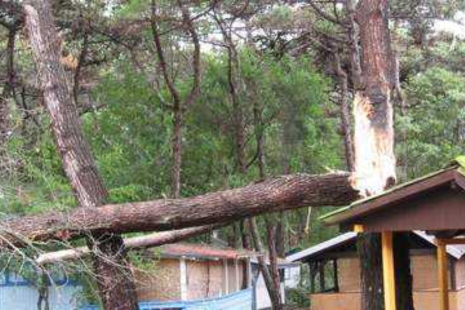 Novigrad, okolica (B. MILIĆ)