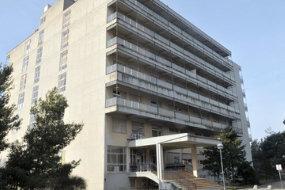 Pulsko rodilište (N. LAZAREVIĆ)