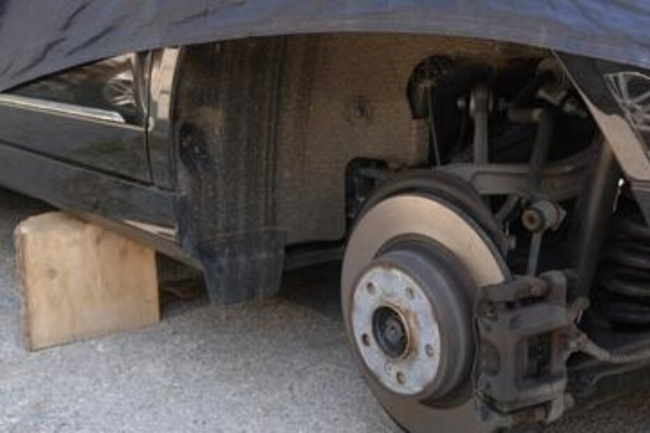 Panjevi umjesto kotača (M. S.)