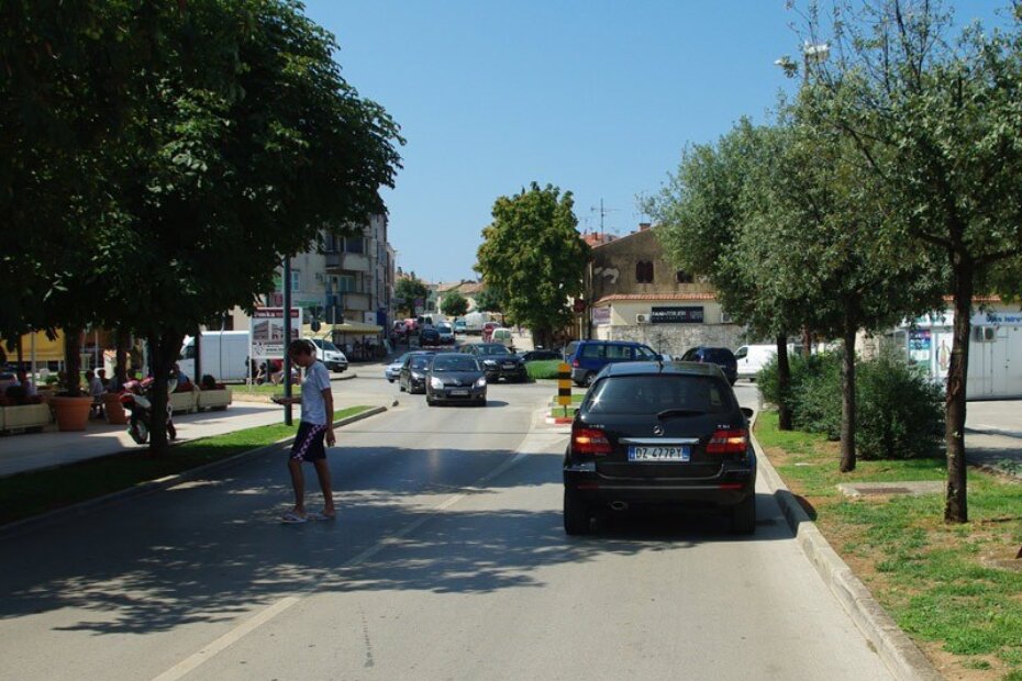 Nakon "parkiranja" izašao je i krenuo preko ceste kao muha bez glave, tipkajući SMS