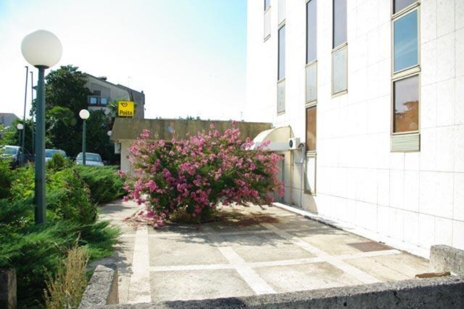 Cvijet je zadnji put potkresan još dok je bio mala beba