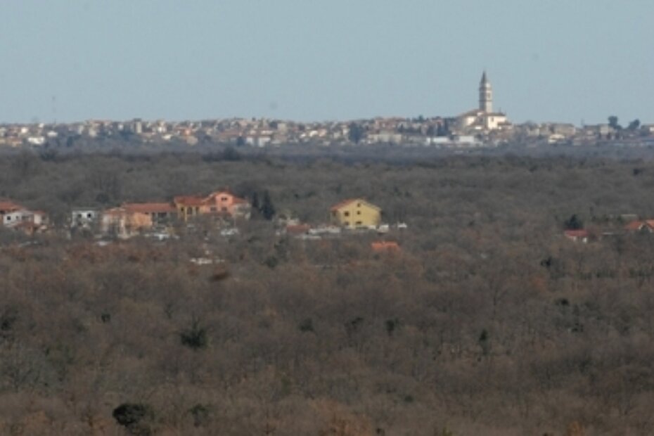 Batvači kod Vodnjana (M. Mi.)