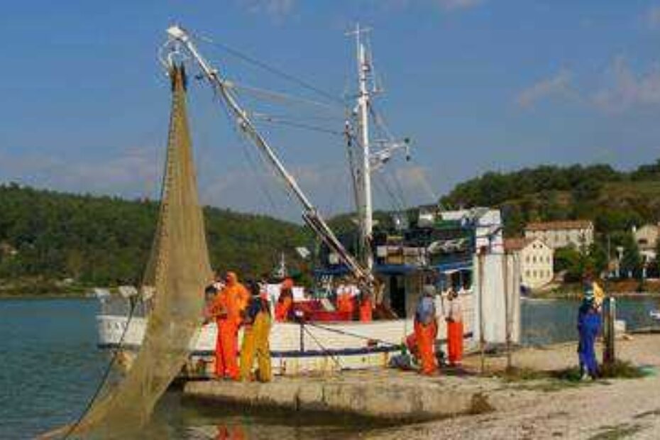 'Zubac' kapetana Ante Jurana izvukao je prvu tonu i pol ribe