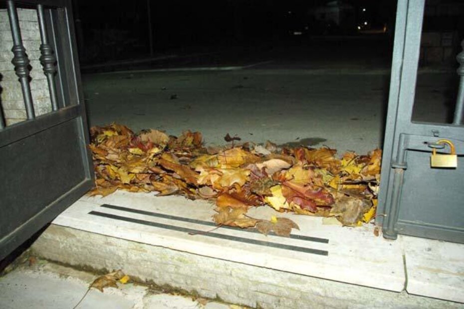 Idete van iz dvorišta? Može, ali prvo pometite lišće