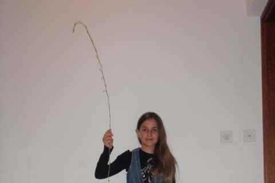 Mala Jana i velika šparoga