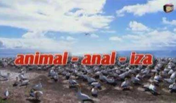Animal - anal - iza, talk show SOFA TV-a (Medo Lucifer i Geopard)