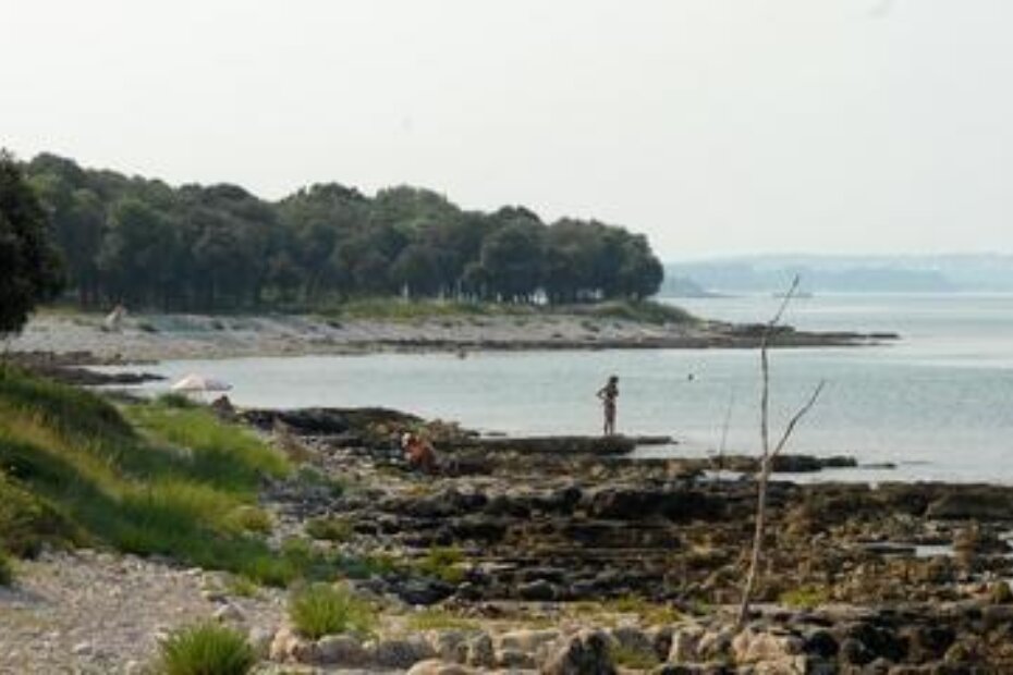 O prodaji Dragonere svi su sve znali, tvrde okrivljenici (M. Mi.)