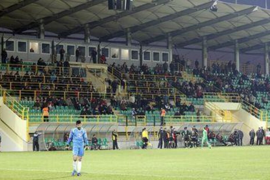 Ilustracija (M. ANGELINI)ANGELINI