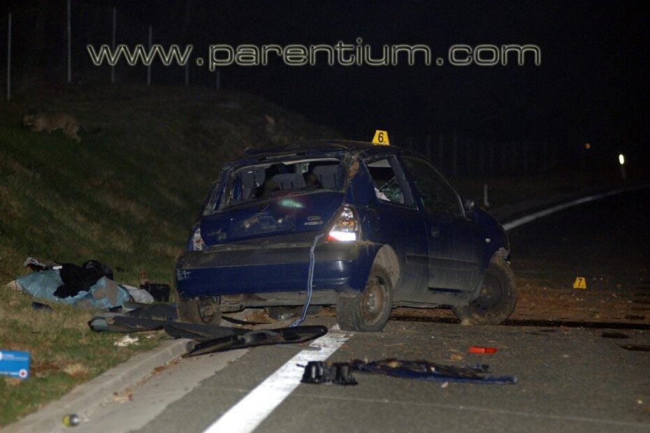 Clio je nakon sudara udario u nasip i nekoliko se puta prevrnuo