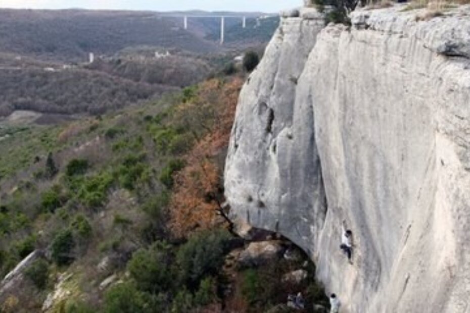 Malvazija (K. DEMŠAR)