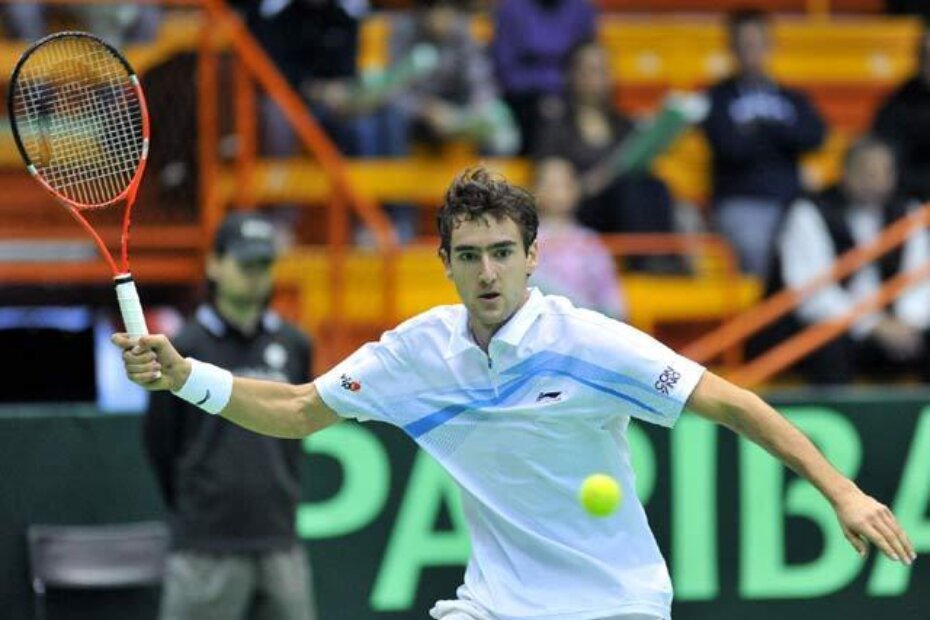 Marin Čilić