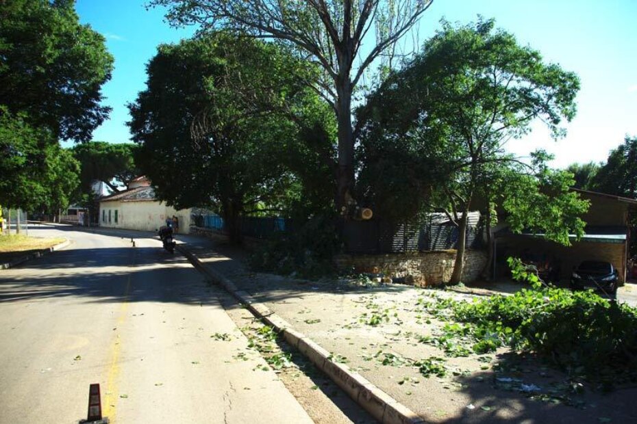 Trula grana pala je na ulicu. Srećom, bez ozlijeđenih, kako neslužbeno doznajemo