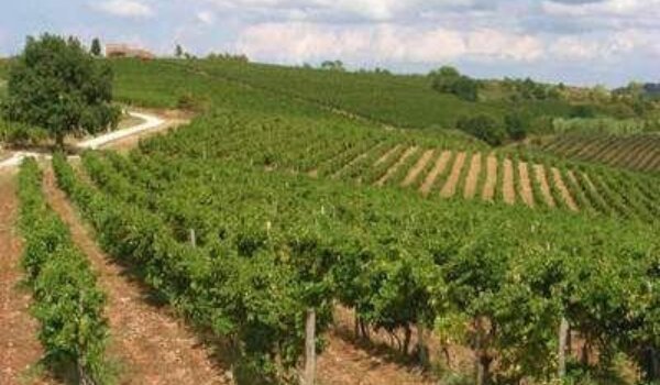 Istra u EU-u samo kao "Hrvatska Istra"