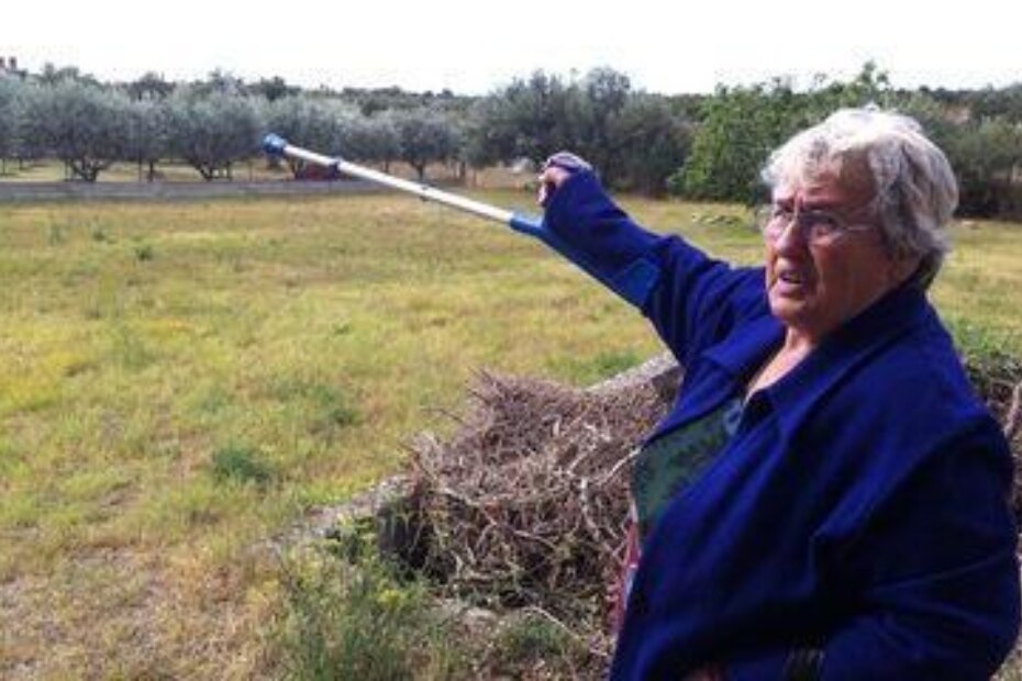 Vera Lovrenčić kod svoje parcele