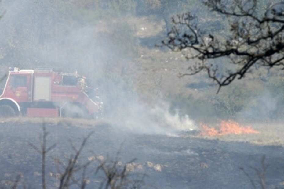 Ilustracija (Arhiva GI)