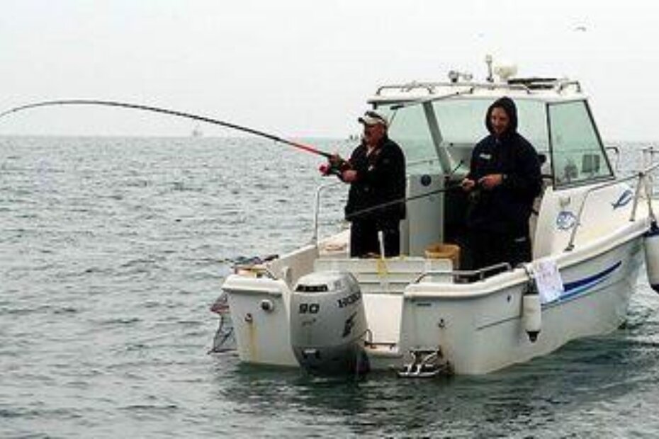 Sa 14. Kupa (arhiva parentium.com)