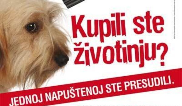 Jednog kupiš - jednog ubiješ: Prijatelji životinja ususret blagdanima uznemirujućim plakatima pozivaju građane da ne kupuju životinje