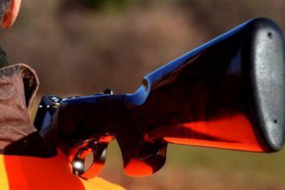 Ilustracija (M. MIJOŠEK)