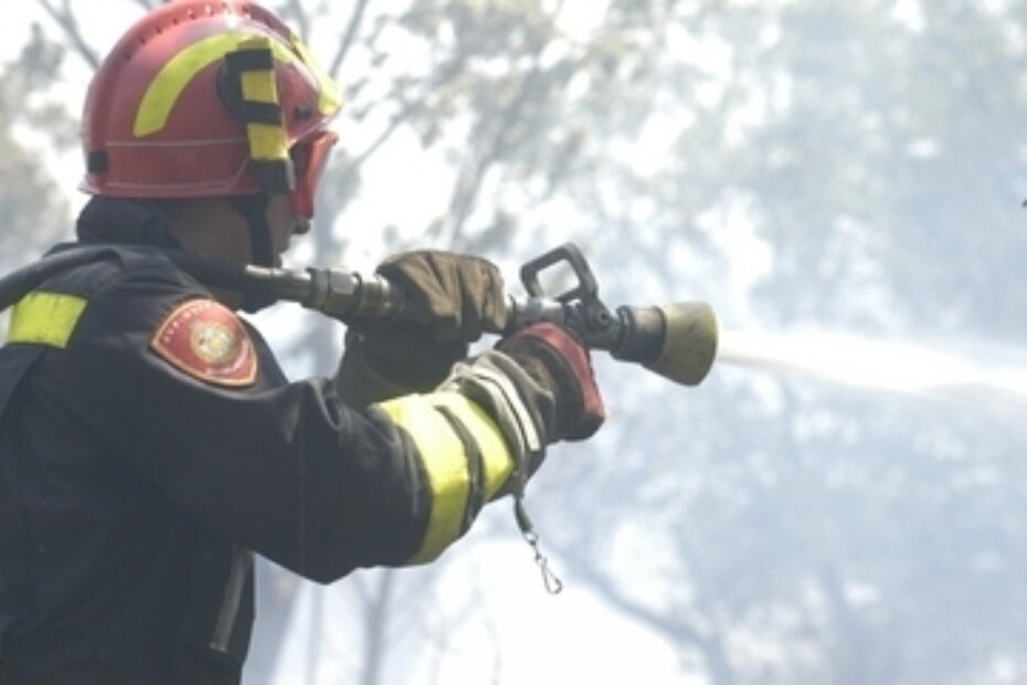 Ilustracija (S. MILJEVIĆ)