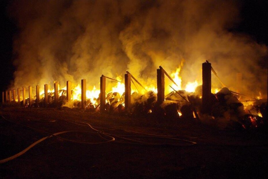 Foto: Ilustracija (Arhiva parentium.com)