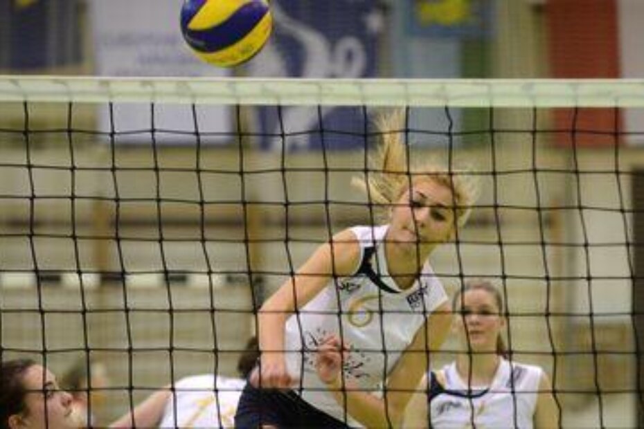 Ilustracija (M. Mi.)