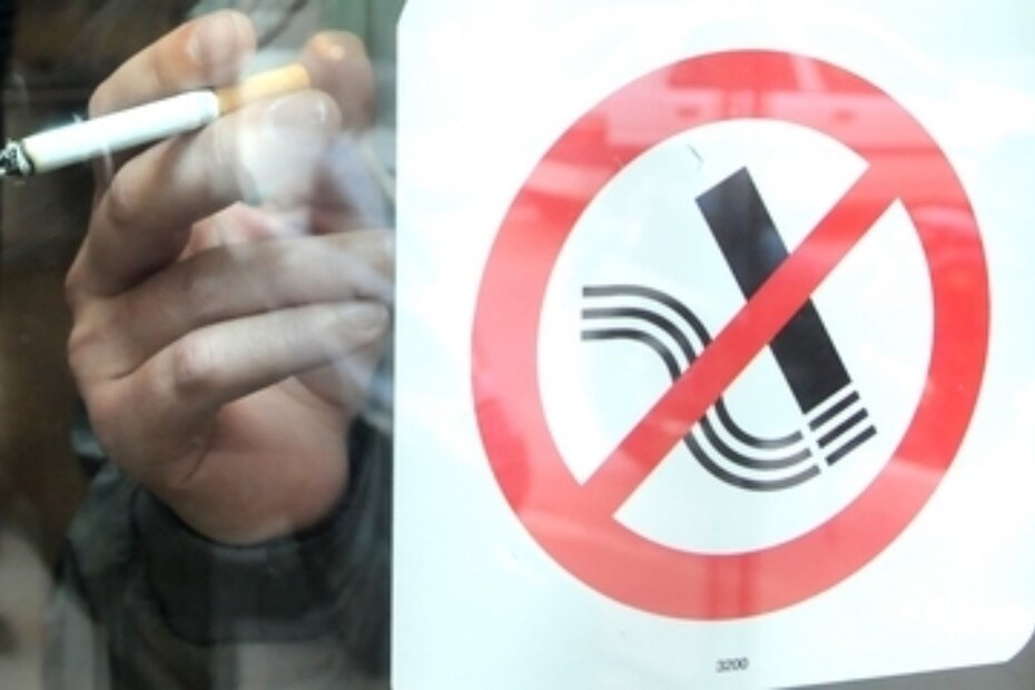 Ilustracija (S. RADOLOVIĆ)