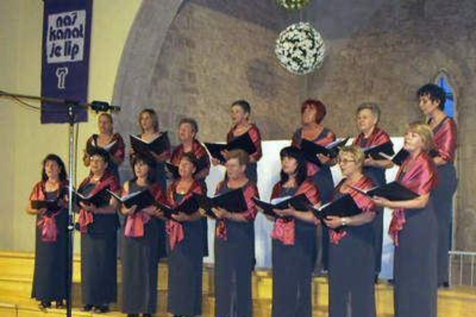 Vrsarske 'Mendule' predvođene Tomom Njegovanom (Foto: Glas Istre)