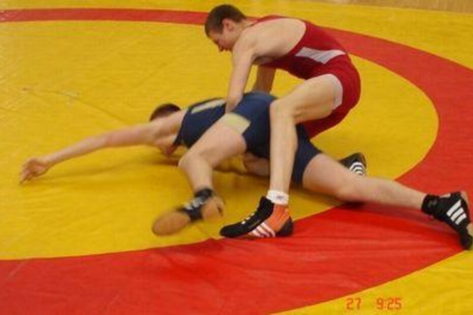 Hrvanje, 25. međunarodni turnir "Trofej Jadrana" u Poreču (Arhiva pareneium.com)