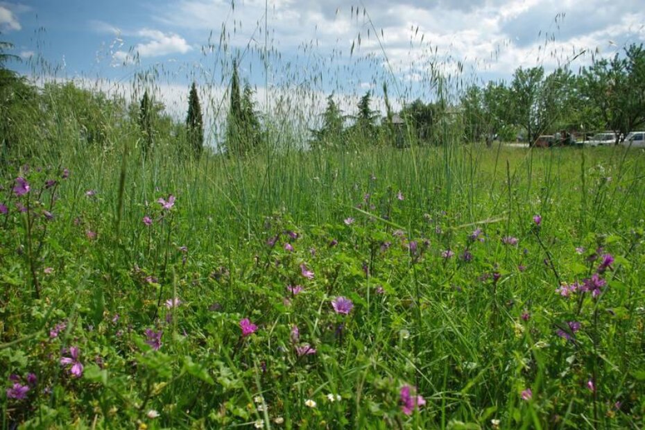Dječje igralište u naselju Poreč-Jug iz perspektive trogodišnjeg djeteta