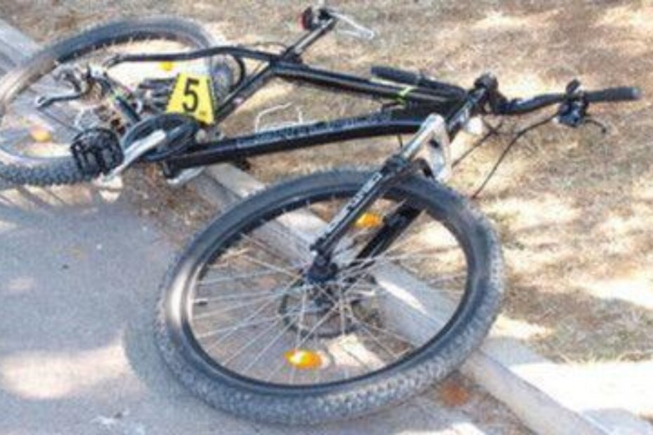 IIlustracija (S. PERŠIĆ)