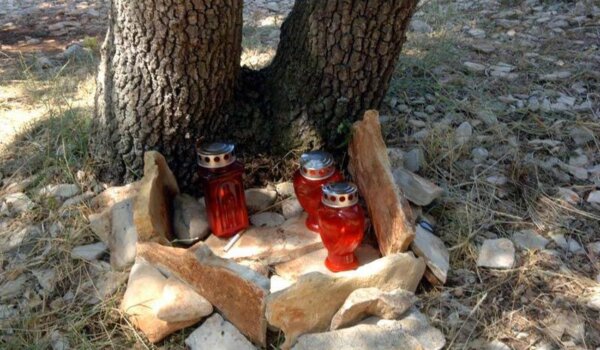 Nakon ubojstva Aleksandra Vidnjevića istraga usmjerena na slovenske državljane Adnana Budmirovića i Igora Ilića iz Jesenica