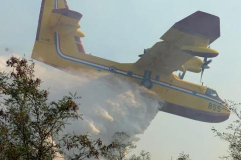 Ilustracija (M. MIJOŠEK)