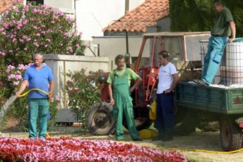 Ilustracija (Jelena PREKALJ)