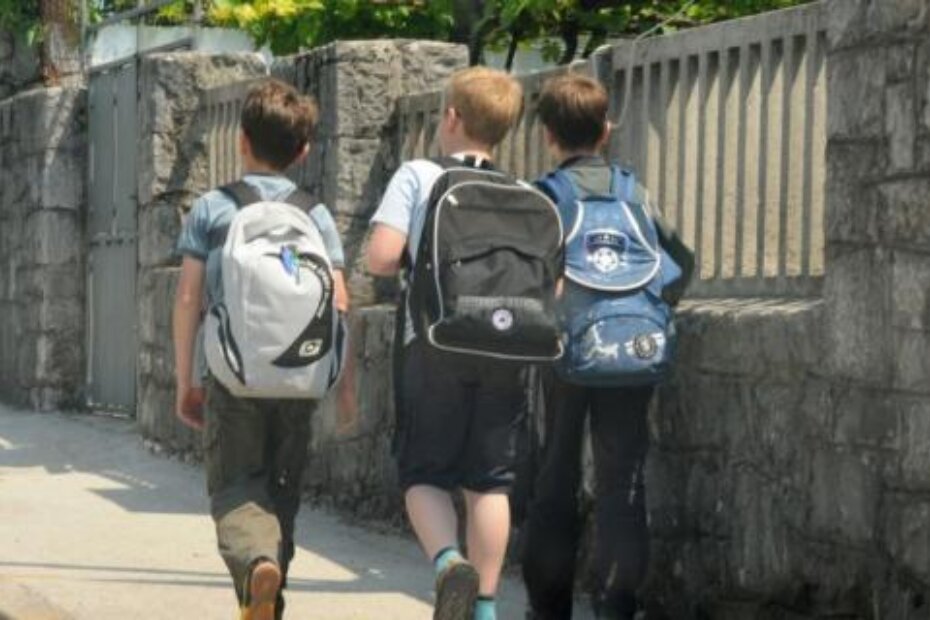 Ilustracija (D. ŠTIFANIĆ)