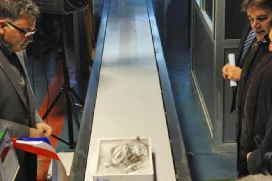 Veletržnica u Poreču (M. MIJOŠEK)