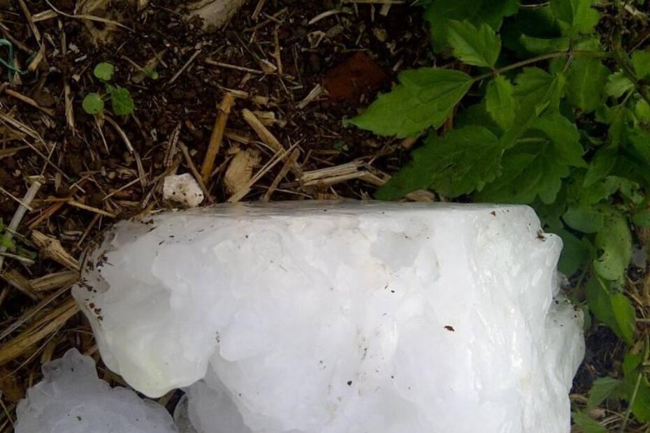 Najveći komad mješani su spremili u škrinju za fotografiranje (E. RITOŠA)