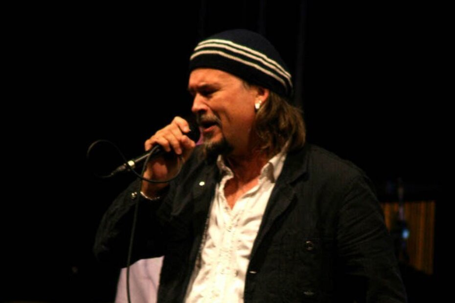 Zlatan Stipišić Gibonni (Wikipedia)