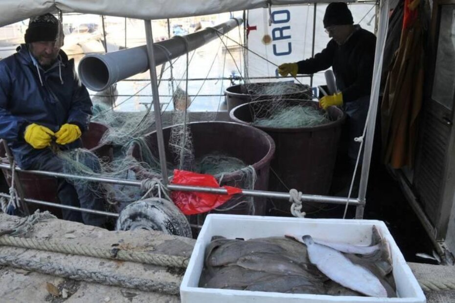 Ribari nemaju kome prodati listove (N. LAZAREVIĆ/arhiva)