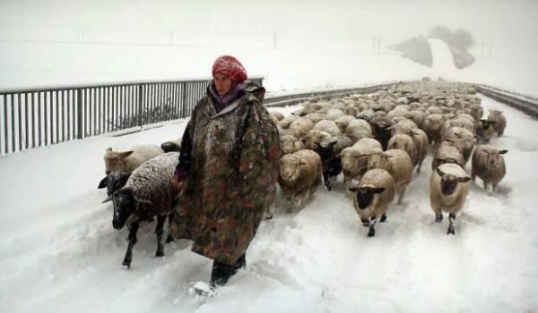Ima nade za nomade!