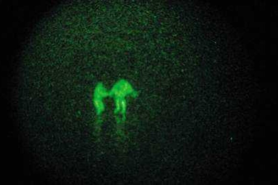 Ilustracija (english.chosun.com)