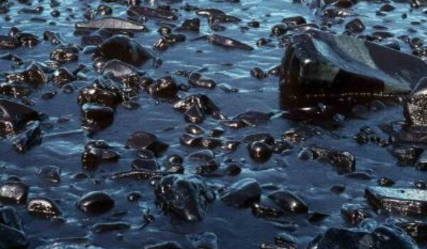 Obljetnica katastrofe "Exxon Valdez"