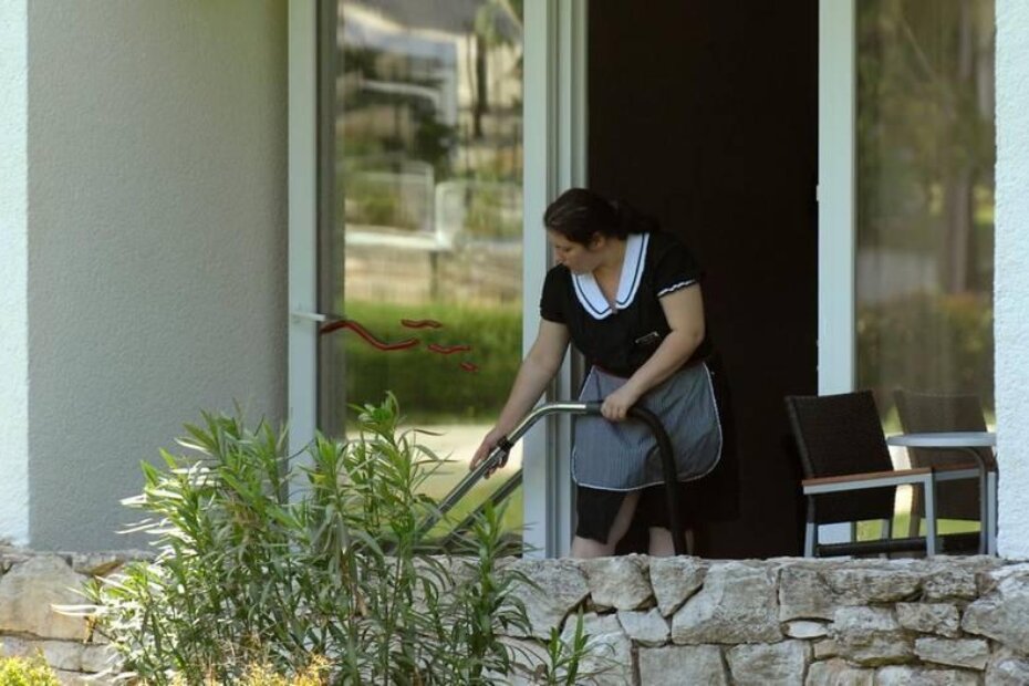 Ilustracija (M. MIJOŠEK)