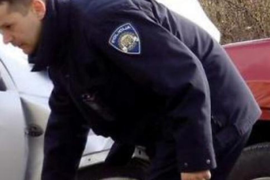 Ilustracija (A. POKRAJAC)