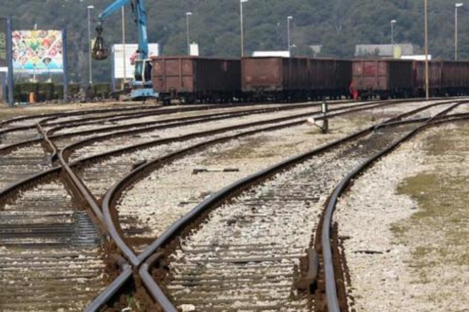 Ilustracija (M. ANGELINI)