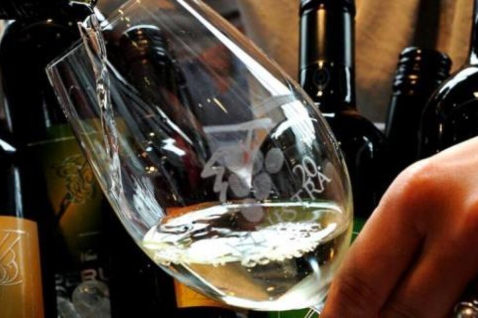 Vina sa starim etiketama ostaju u prodaji (M. MIJOŠEK)