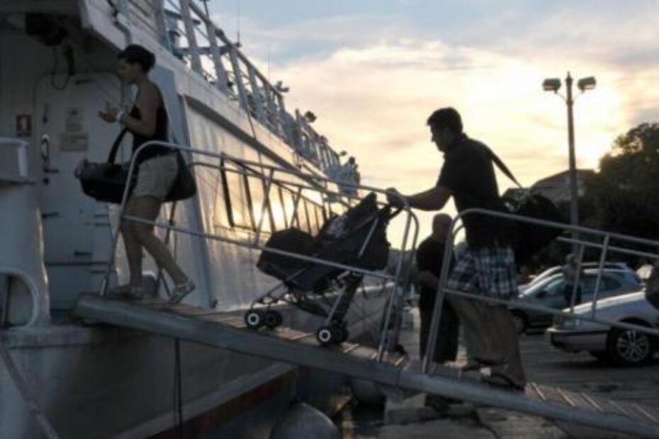 Ilustracija (N. LAZAREVIĆ)