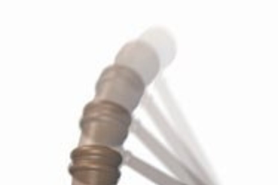 Ilustracija (southcoastsurety.com)